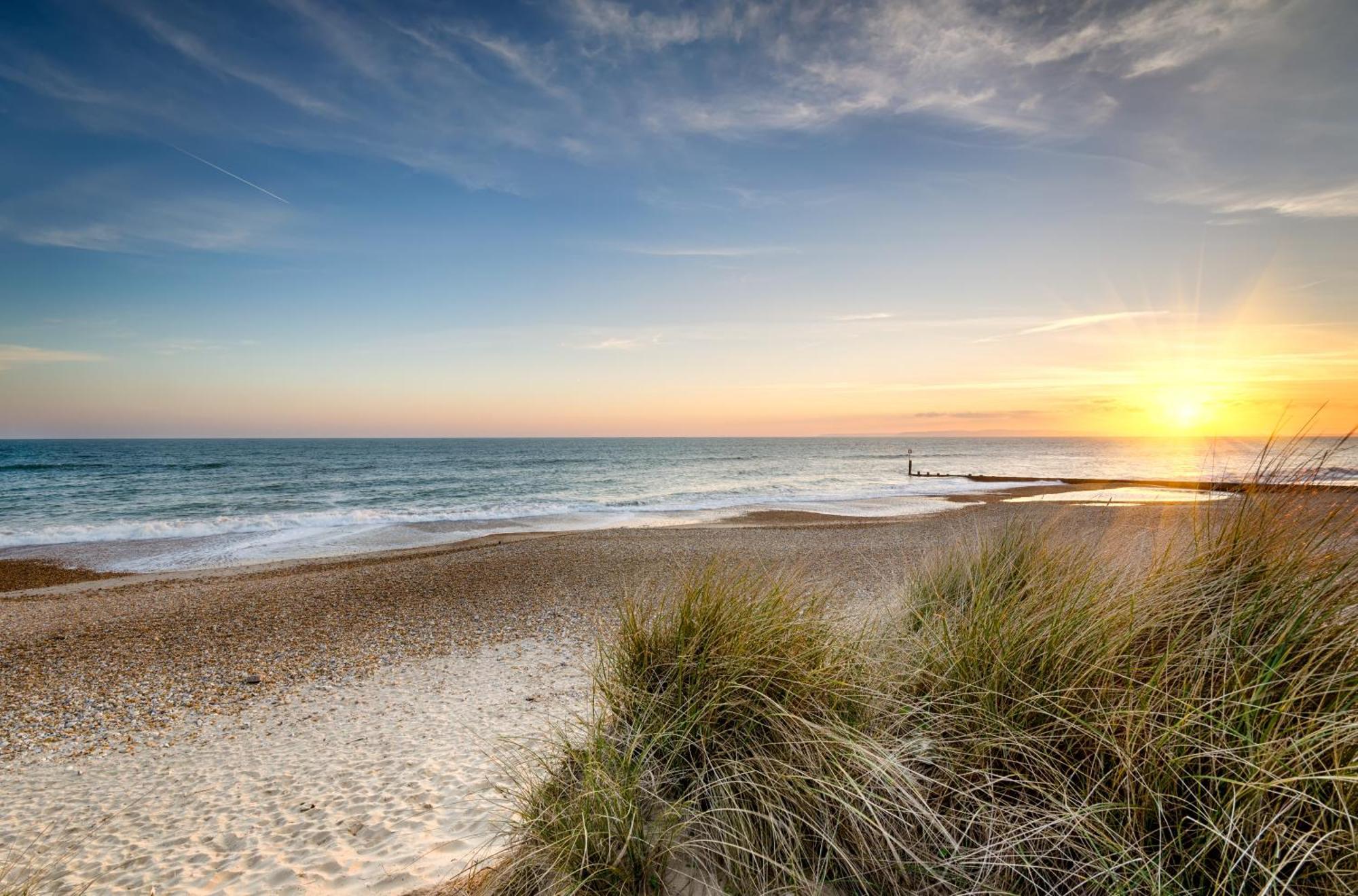 Cosy Bee And Apartment Bournemouth Dış mekan fotoğraf